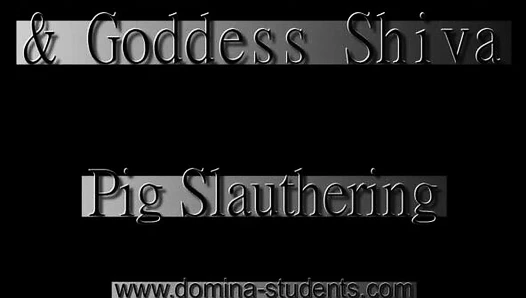 Satanic Sissy-Pig Slaughter