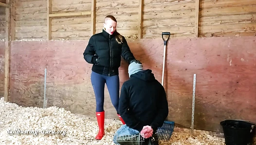 Boots Versus Balls, extremely hard Hunters Wellingtons ballbusting in the stables