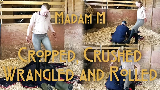 Cropped, Crushed, Wrangled and Rolled, trampled, humiliated, and discarded in extreme stable discipline.