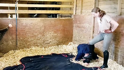 Cropped, Crushed, Wrangled and Rolled, trampled, humiliated, and discarded in extreme stable discipline.
