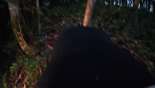 Wanderlust Turns Into Painal and Wood Whipping